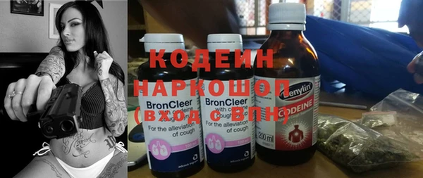 прущий лед Киренск