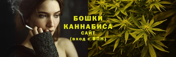 шишки Киреевск