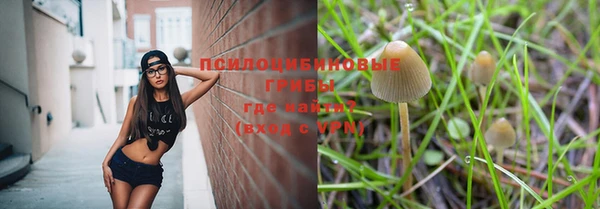 прущий лед Киренск