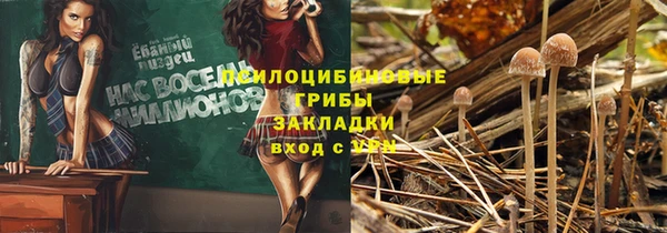 прущий лед Киренск