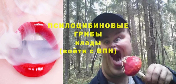 шишки Киреевск