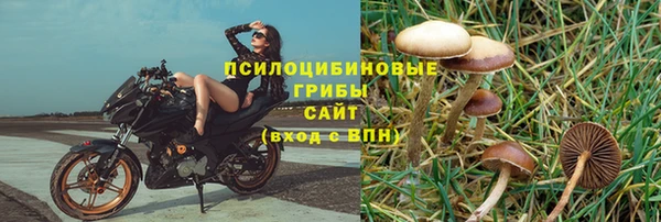 шишки Киреевск
